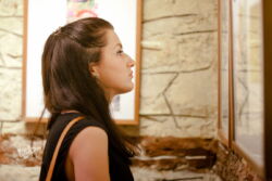 Inter-Art 2016 International ArtCamp / XXIst edition